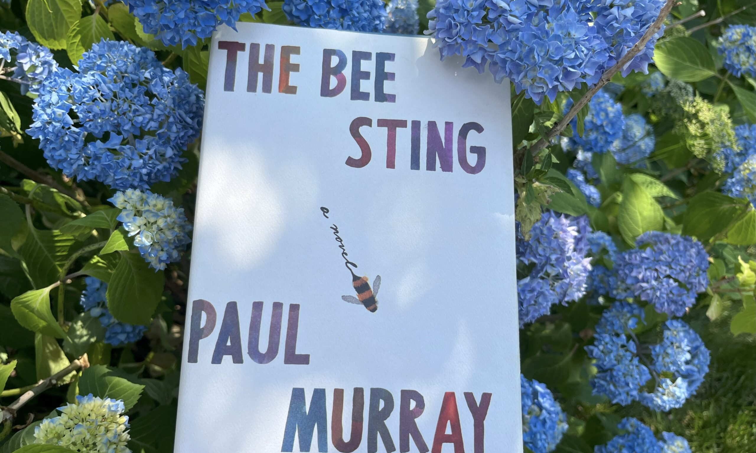 The Bee Sting by Paul Murray